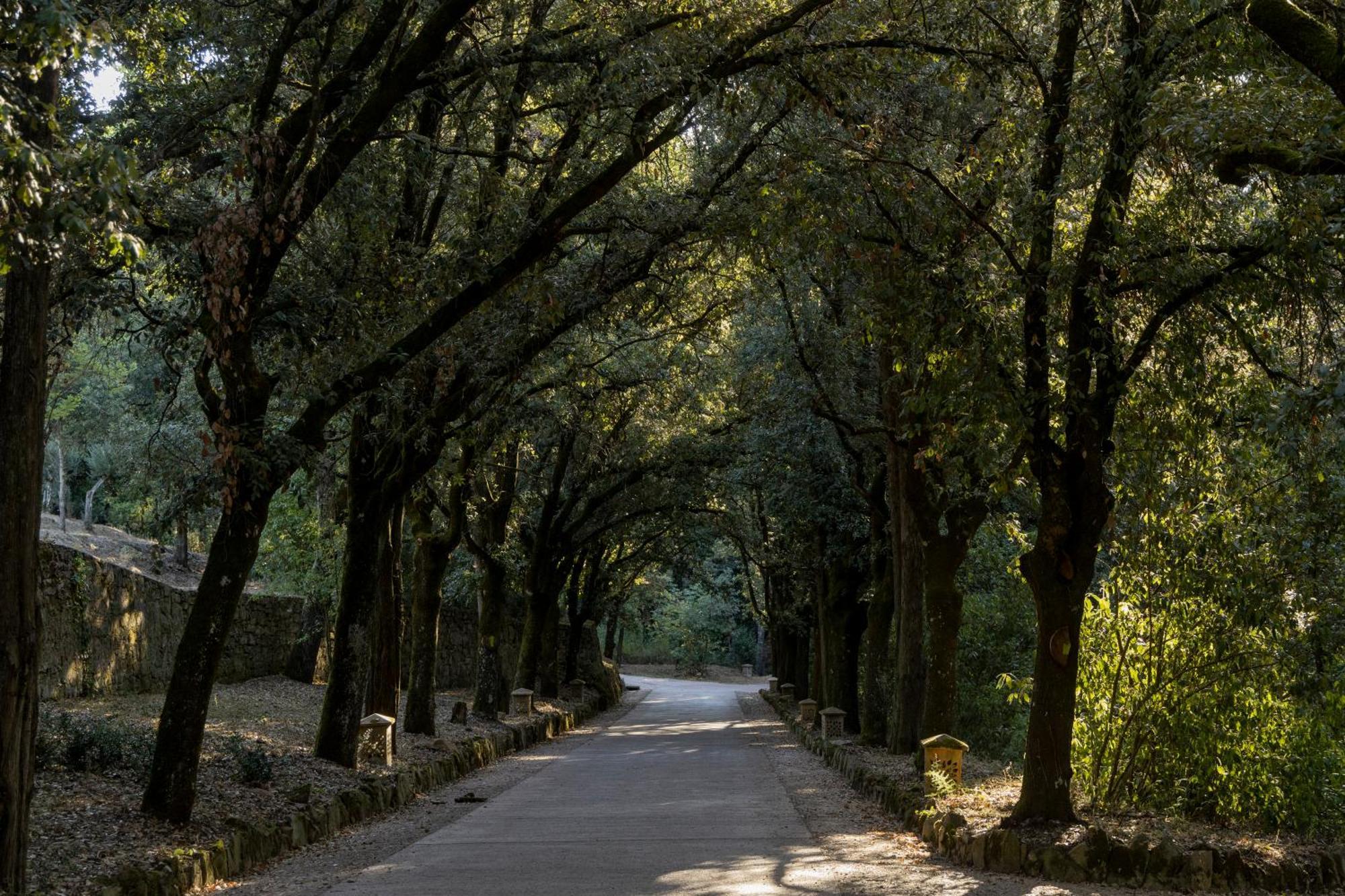 Borgo Dei Conti Resort Relais & Chateaux Perugia Eksteriør billede